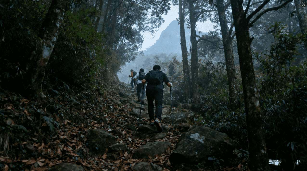 旋风蜜蜂加速器免费下载地址推荐
